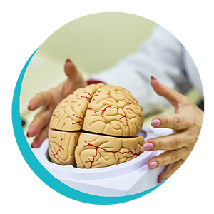 Fisioterapia Neurológica