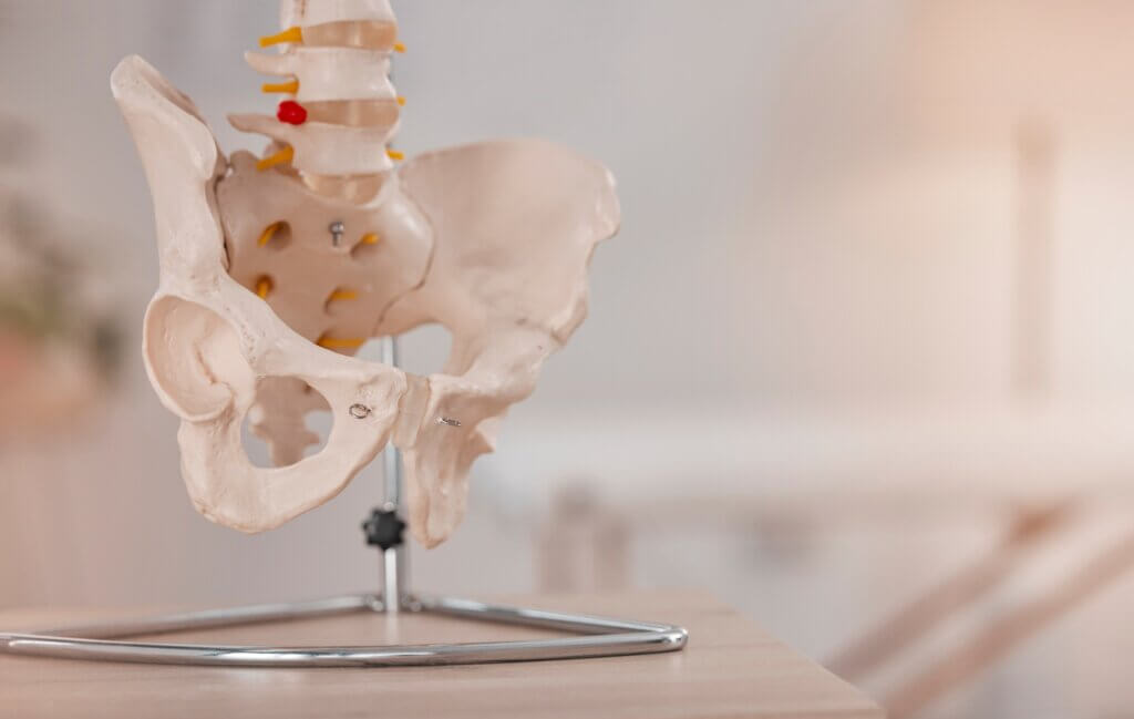 Fisioterapeuta realizando tratamento pélvico em paciente na clínica MayFisio