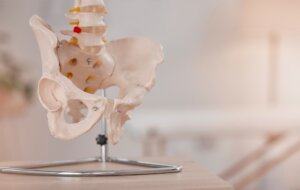 Fisioterapeuta realizando tratamento pélvico em paciente na clínica MayFisio